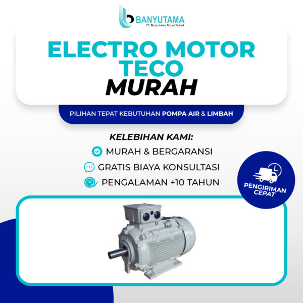 Electro Motor Teco